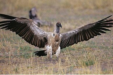 国产恐怖游戏《黑暗世界：因与果》新预告 3月27日发售